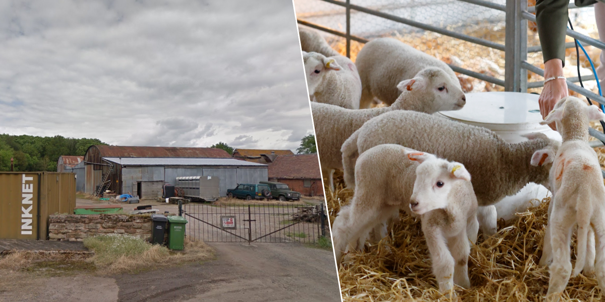 More than 80 people still 'seriously ill' two months after
visiting petting farm where they caught parasite infection