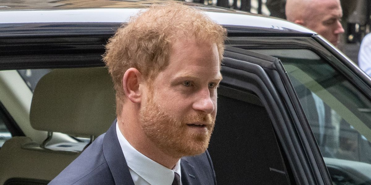 Prince Harry is determined to fight on regardless of the
financial burden - analysis by Cameron Walker