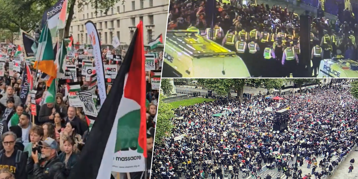 Pro-Palestine protesters in VIOLENT CLASHES as police
officers injured and 40 activists arrested