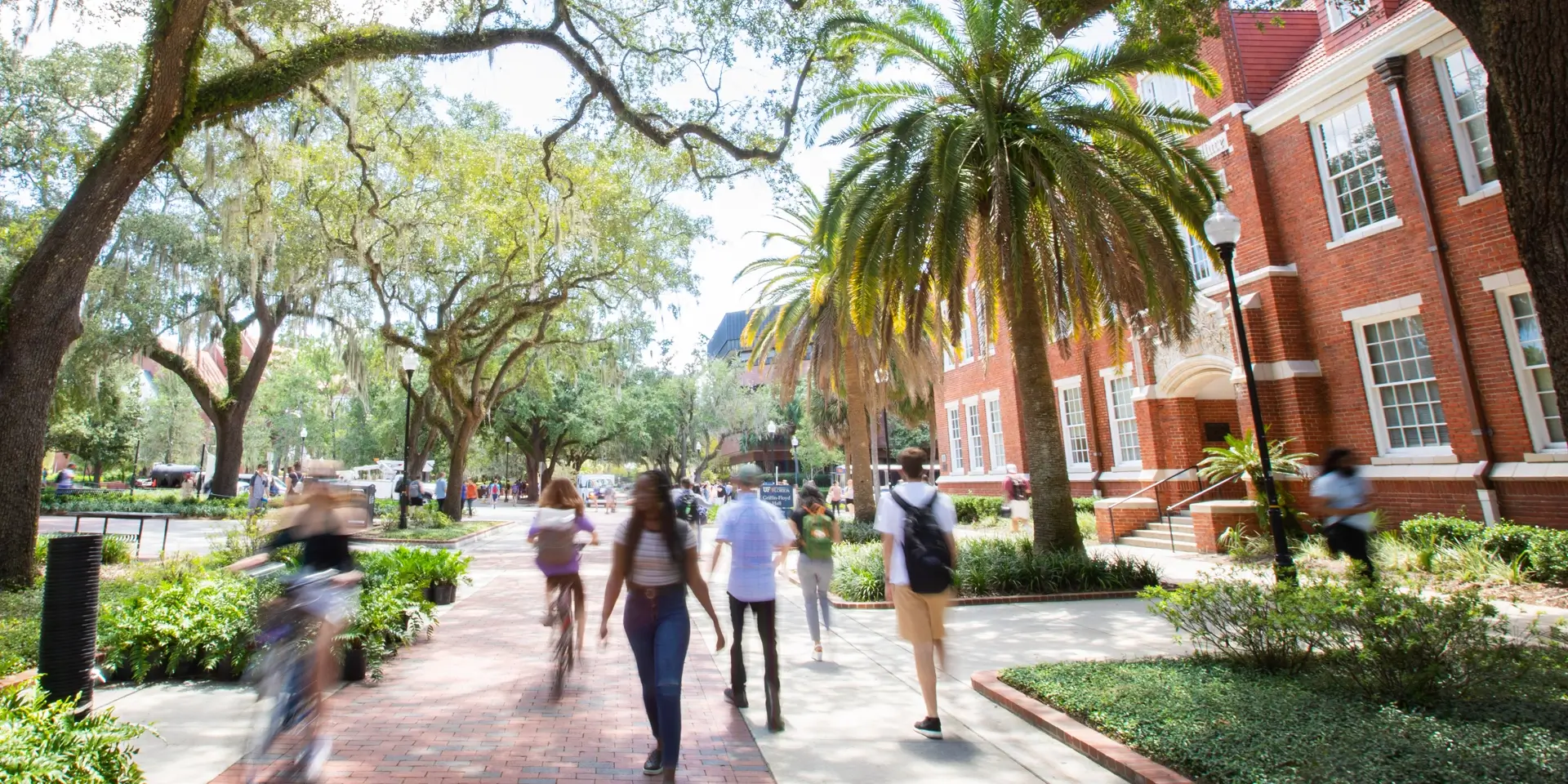 University of Florida