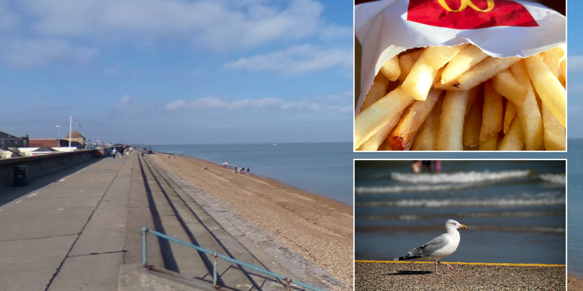 Woman slapped with £200 fine after dropping McDonald's chips
which were snatched by seagulls