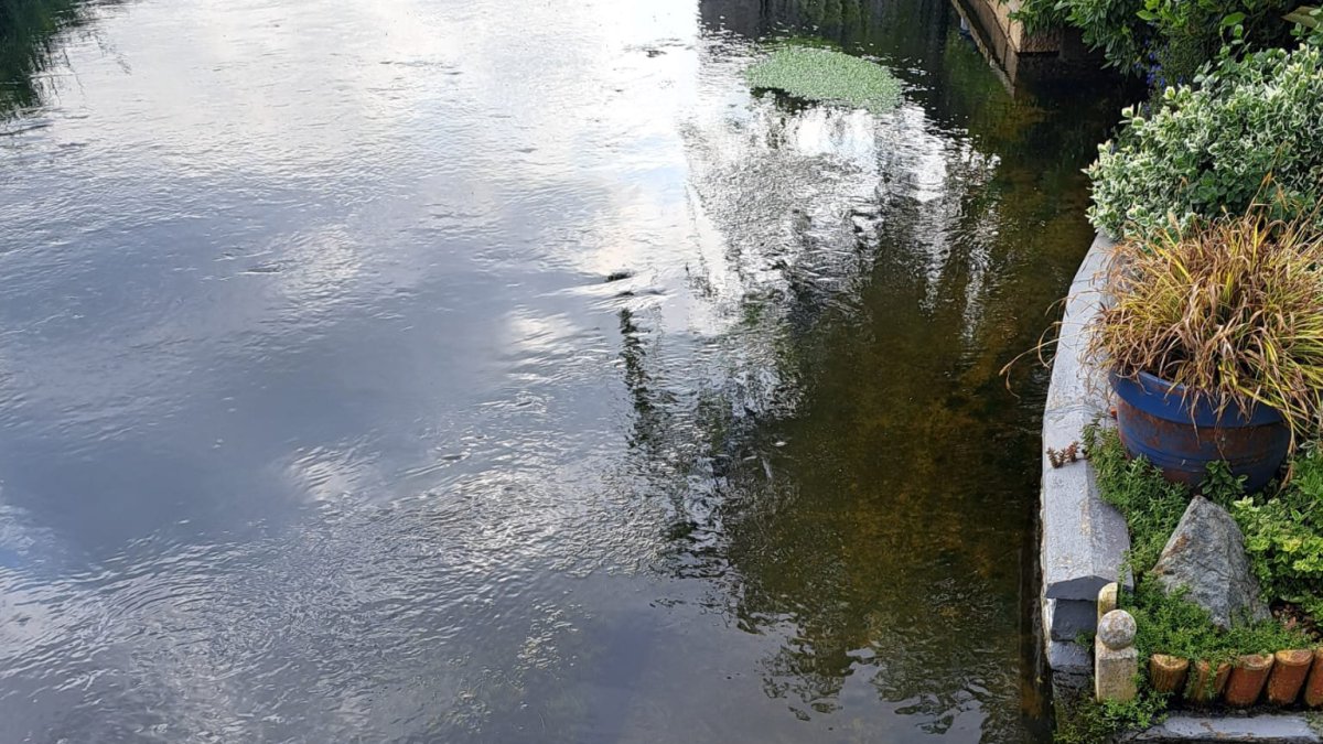 ‘Thames Water sewage is flooding our back gardens – the
smell is so bad’